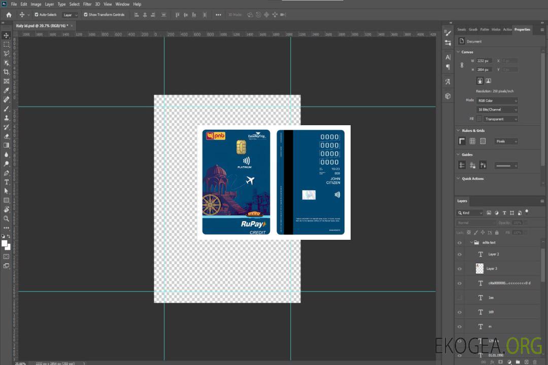 Carte verticale de crédit platine RuPay India PNB EMT Bank template